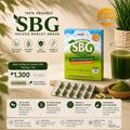 Salveo Barley Grass 70 capsules in blister packs