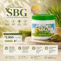 Salveo Barley Grass 240 gram jar